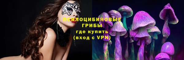 прущий лед Алексин