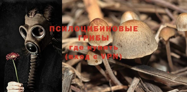 прущий лед Алексин