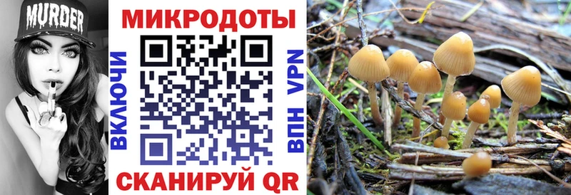 где можно купить   Фатеж  Псилоцибиновые грибы прущие грибы 